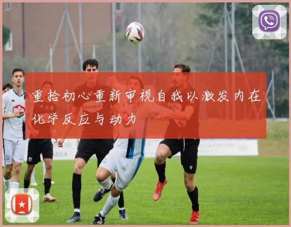 重拾初心重新审视自我以激发内在化学反应与动力